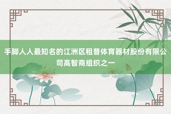 手脚人人最知名的江洲区租普体育器材股份有限公司高智商组织之一