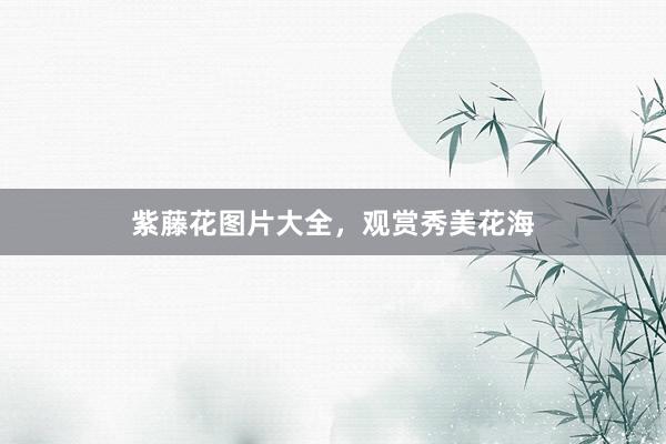 紫藤花图片大全，观赏秀美花海